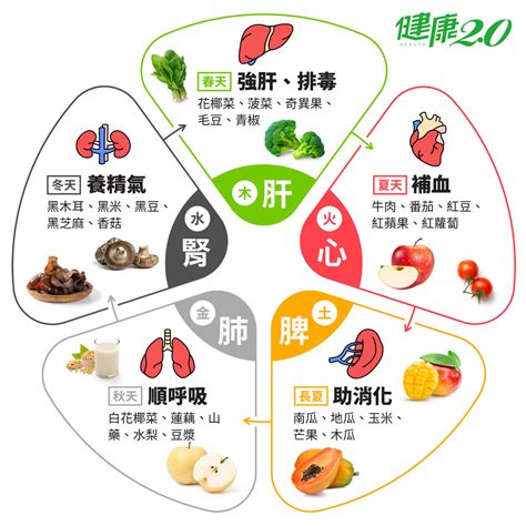 飲食業 五行|【飲食業 五行】餐飲業與五行關係：揭開飲食界的五。